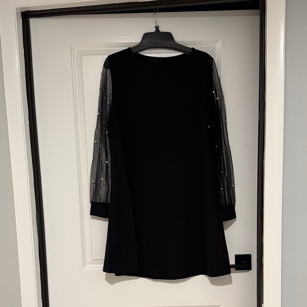 Amazon Black Dress with Sheer Sleeves